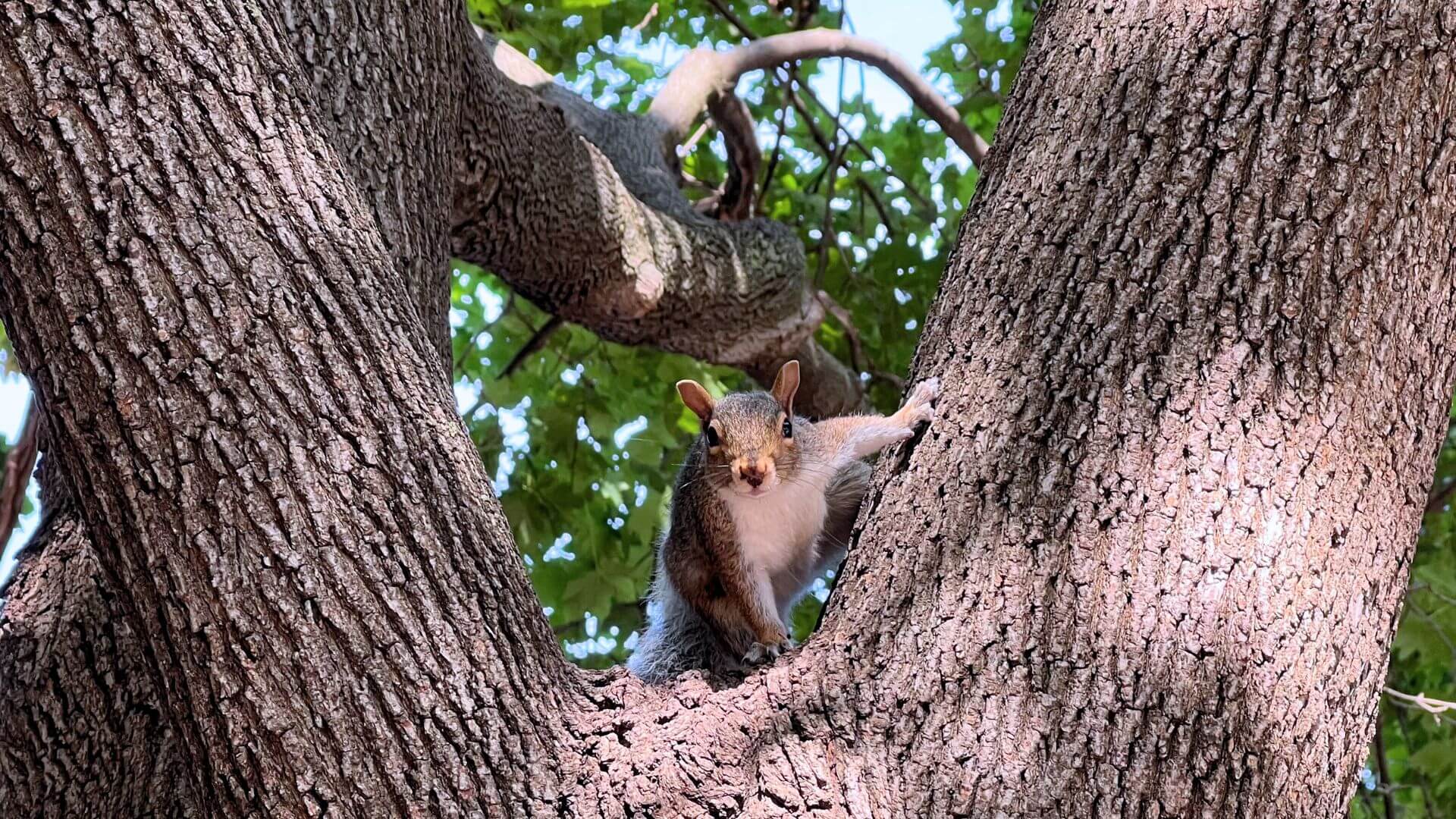 10 différences entre le Québec et la France