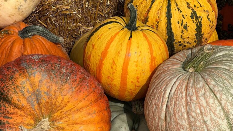 10 spécialités culinaires du Québec