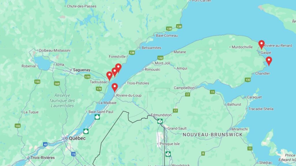 Les meilleurs endroit pour observer les baleines au Québec