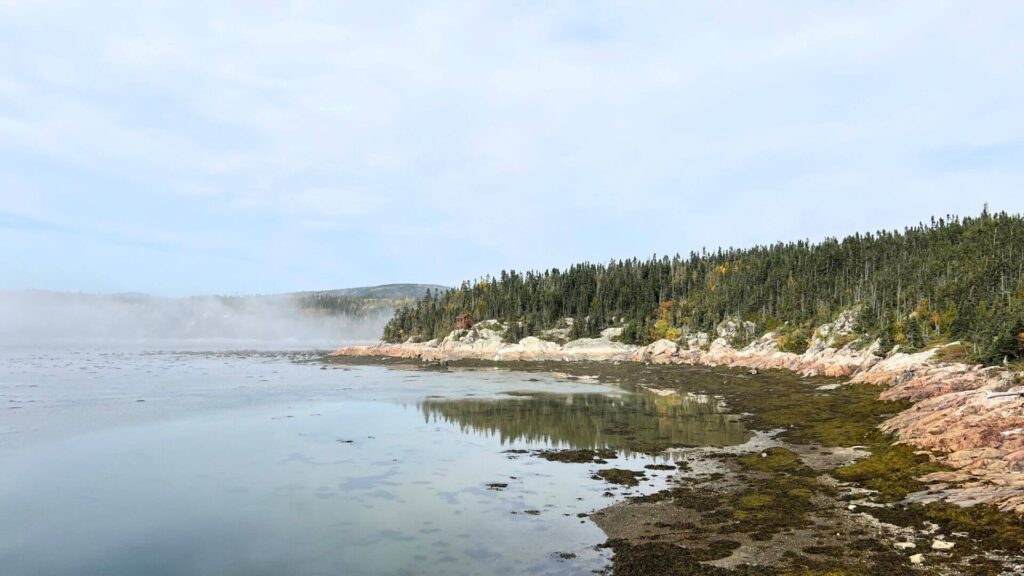 Observer les baleines à Tadoussac