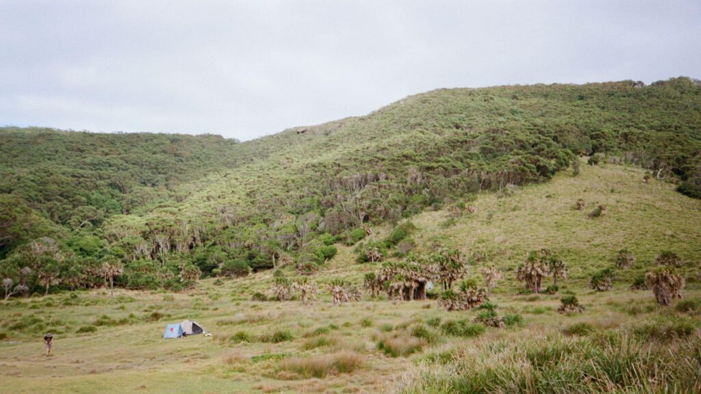 Un réveil hors du temps