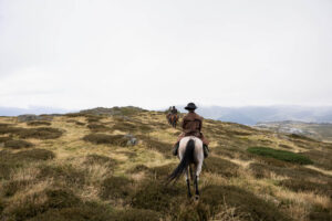 3 jours de trek équestre dans les alpes australiennes