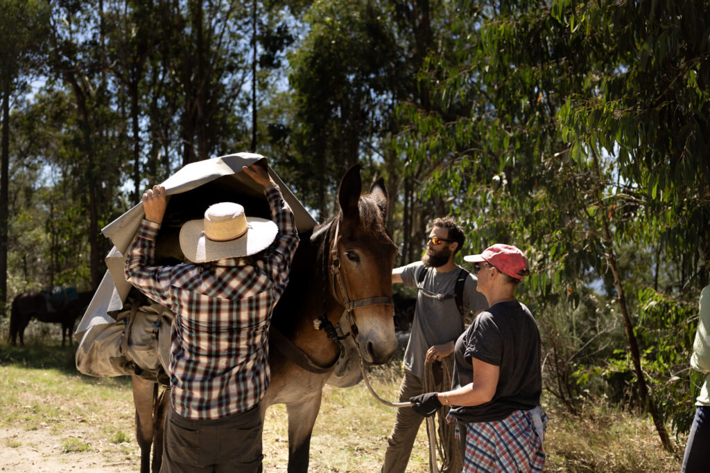 Le matériel pour 3 jours de trek équestre