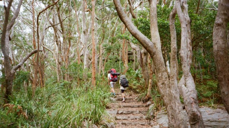 Sac à dos minimaliste pour 1 an de voyage en Australie